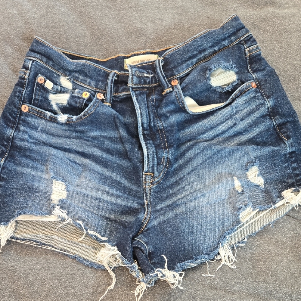 American Eagle Outfitters Blue Distressed Jean Shorts